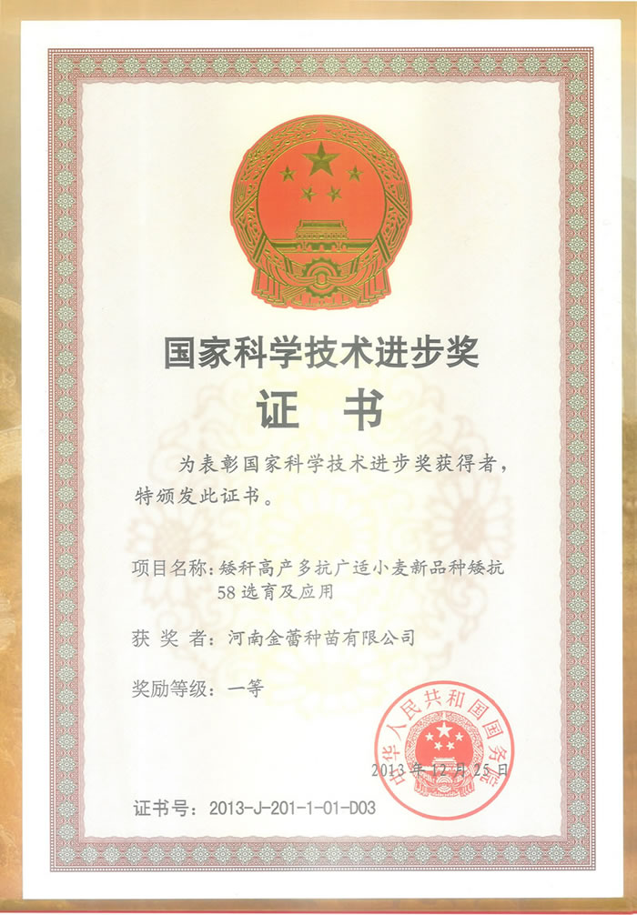 國(guó)家科技進(jìn)步一等獎(jiǎng)